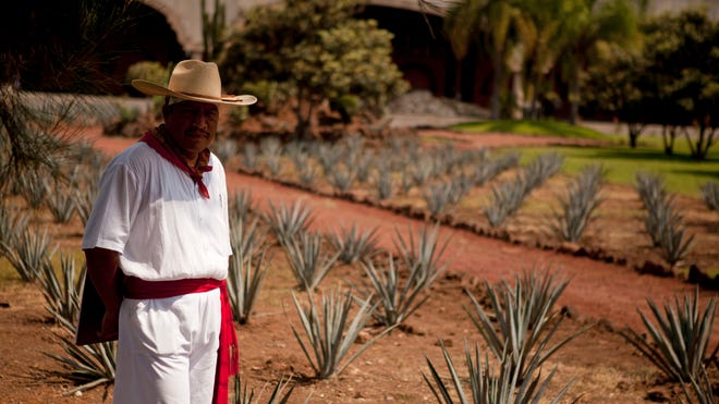 Mexico Touring Tequila 2.jpg